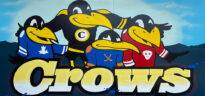 Crow's Sports